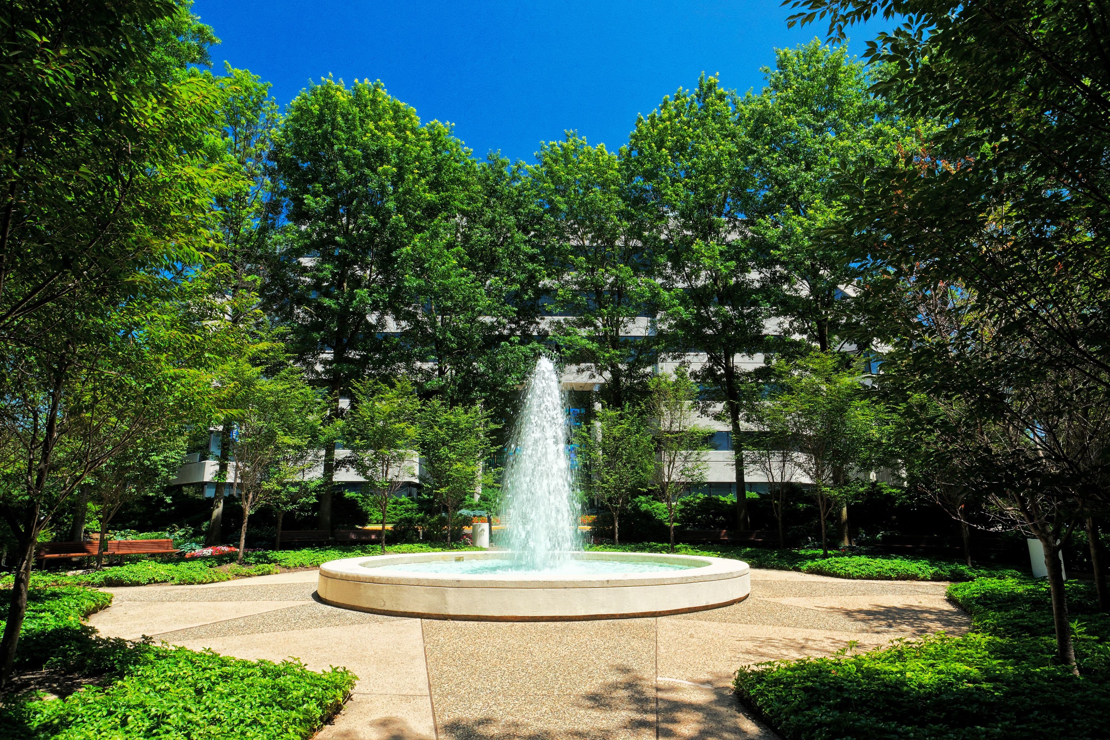 Neshaminy Interplex - Image 10